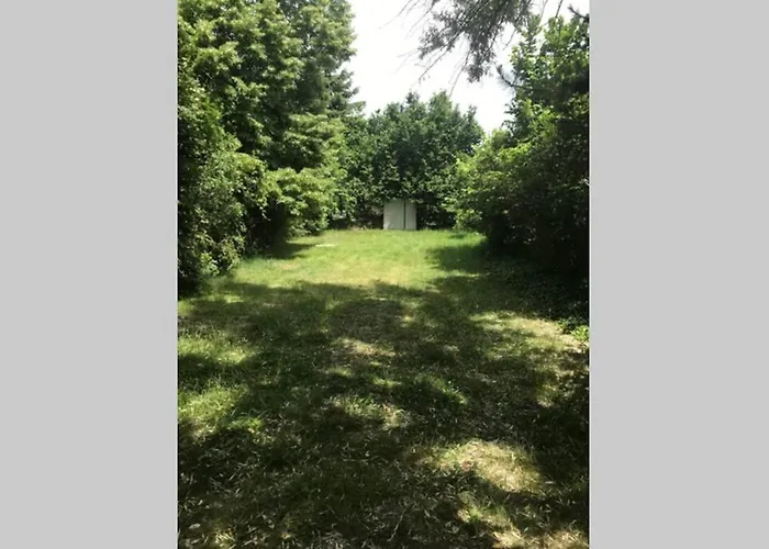 Hugo Lak زاماردي