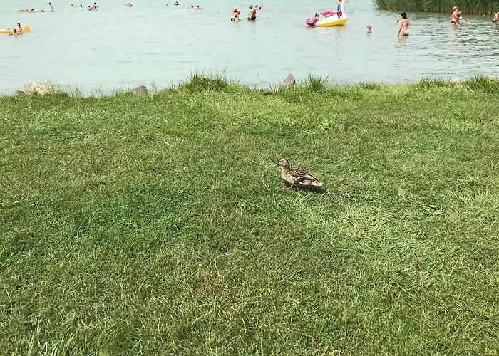 Hugo Lak زاماردي